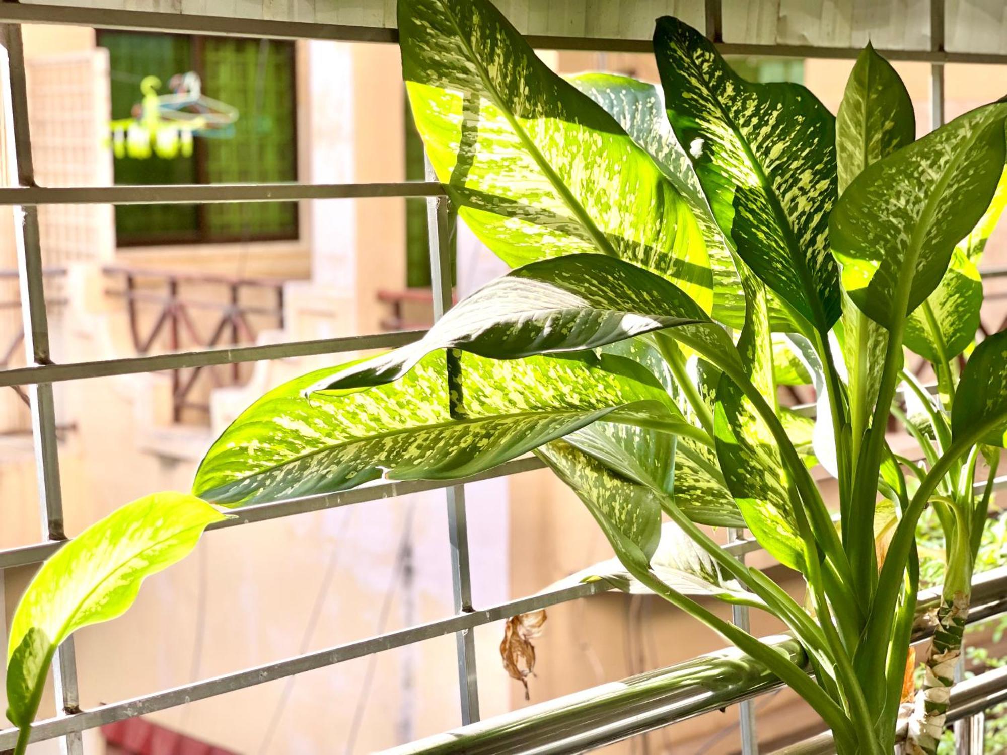 Sky Hotel Central Phnom Penh - Rooms & Apartments Экстерьер фото